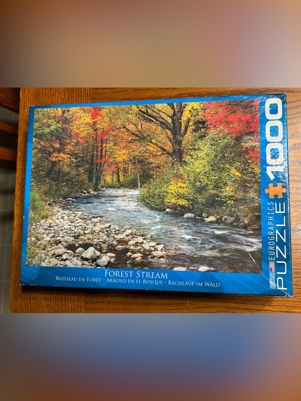 Forest Stream 1000-Piece Puzzle - by Eurographics